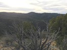 photo thumbnail #14