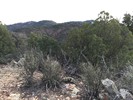 photo thumbnail #10