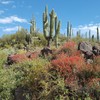 photo thumbnail #7