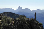 photo thumbnail #10