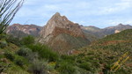 photo thumbnail #11