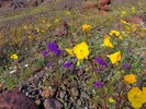 photo thumbnail #15
