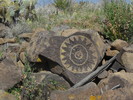photo thumbnail #3
