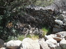 photo thumbnail #12