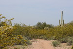 photo thumbnail #1