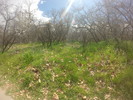 photo thumbnail #6