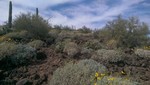 photo thumbnail #7