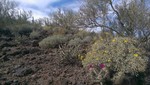 photo thumbnail #8