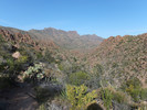 photo thumbnail #3