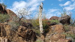 photo thumbnail #4