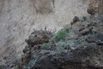photo thumbnail #14