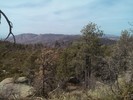 photo thumbnail #5