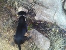 photo thumbnail #2