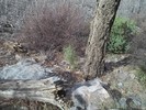 photo thumbnail #13