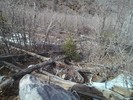 photo thumbnail #15
