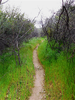 photo thumbnail #11