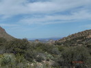 photo thumbnail #12