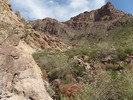photo thumbnail #3