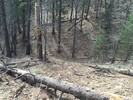 photo thumbnail #5