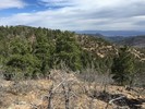 photo thumbnail #8