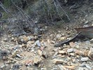 photo thumbnail #11
