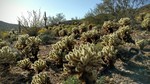 photo thumbnail #4