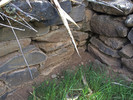 photo thumbnail #11