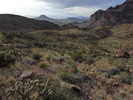 photo thumbnail #4