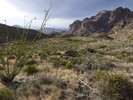 photo thumbnail #6