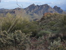 photo thumbnail #7