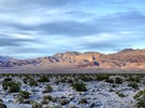 photo thumbnail #9