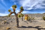 photo thumbnail #14