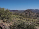 photo thumbnail #5