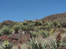 photo thumbnail #8