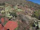 photo thumbnail #15