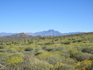 photo thumbnail #1