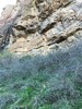 photo thumbnail #12