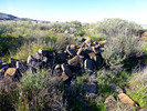 photo thumbnail #4