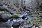 photo thumbnail #2
