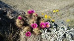 photo thumbnail #1