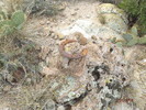 photo thumbnail #10