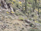 photo thumbnail #13