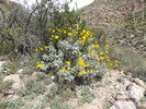 photo thumbnail #15
