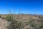 photo thumbnail #9
