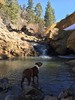 photo thumbnail #6