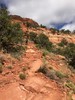 photo thumbnail #10
