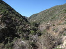 photo thumbnail #9