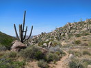 photo thumbnail #3