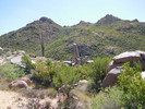 photo thumbnail #6