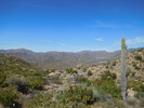 photo thumbnail #7